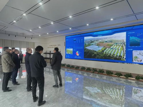 数字先锋 数字农业与智慧工厂共筑未来创新格局